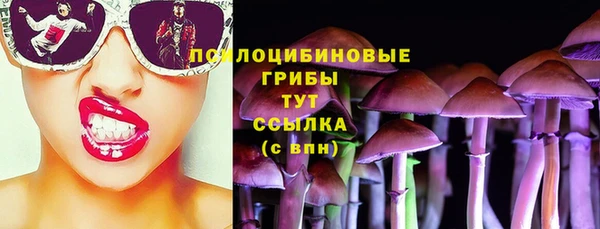 сатива Балабаново