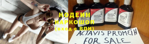 гидра Арсеньев