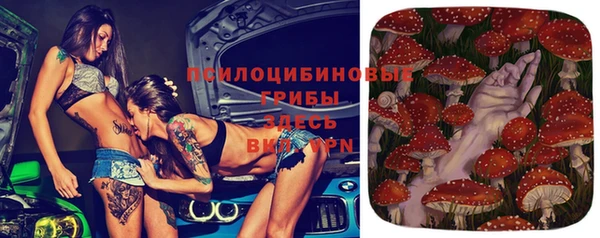 прущий лед Армянск