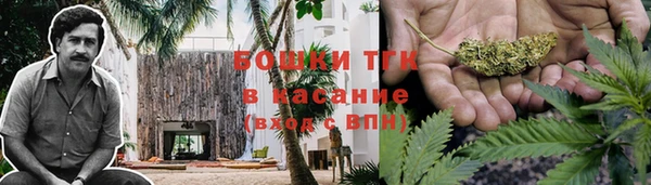 гидра Арсеньев