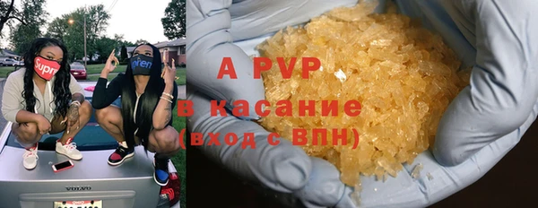 гидра Арсеньев